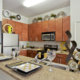 Kitchen in Dwell Maitland apartment for rent